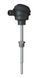 ТСП1-3на-Pt100-В-3-160-10-40-8-М20х1,5-80-А-(-50...400) (аналог ТСП-1287) Термоперетворювач 000214629 фото 1