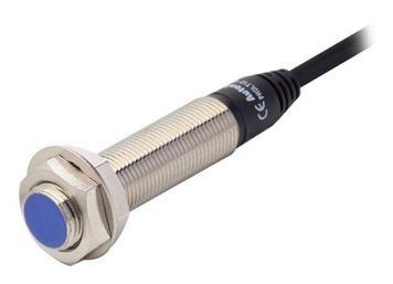 PRDL12-4DP Датчик індуктивний (M12, Sn=4mm, 12-24 VDC, PNP NO, кабель 2м) 000142238 фото